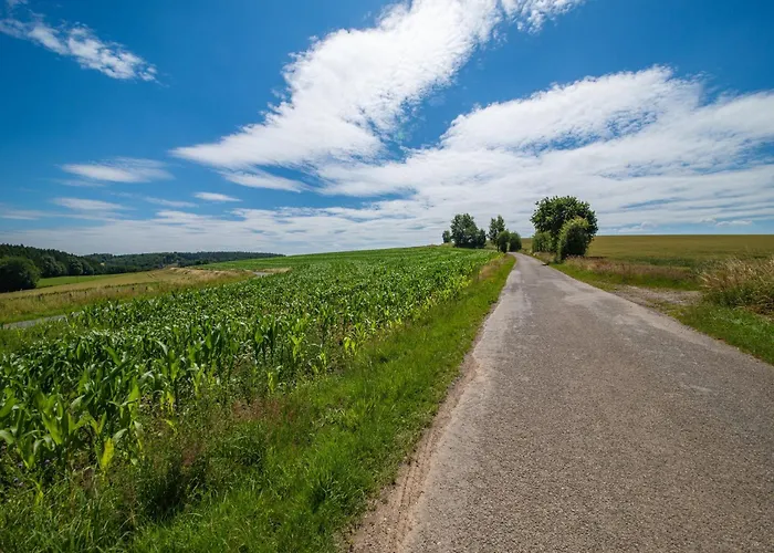 Luxurious House With Sauna In Bastogne